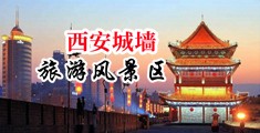 嫰逼电影中国陕西-西安城墙旅游风景区
